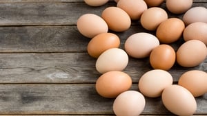 Musical Menu | Eggs  show image