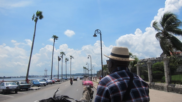 Cuba's beautiful deteriorating buildings, bustling streets, and colourful vintage cars make it a completely unique experience...but not for long. Here's our top 5 tips for visiting this illusive country.