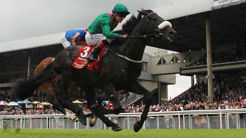 Pat Smullen expects a strong showing from Harzand in France - but is hoping for rain and a middle draw