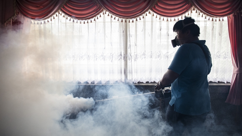 A school is Bangkok is fumigated to try to prevent the spread of mosquitoes carrying the Zika virus