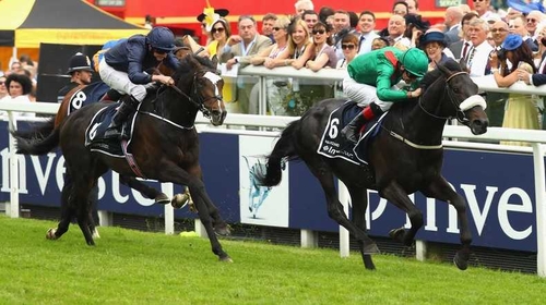 Harzand (R) won the Epsom and Irish derbies this year