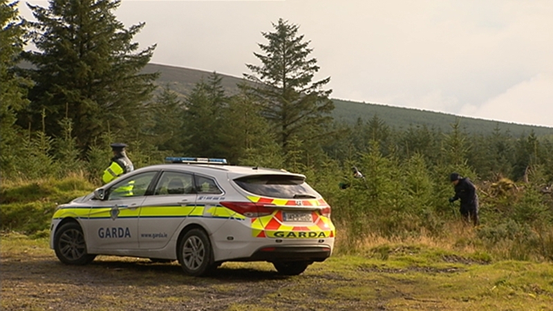 The body of Michael McCoy was found near a forest track in a wooded area at Ballinascorney Hill in Brittas, Co Dublin