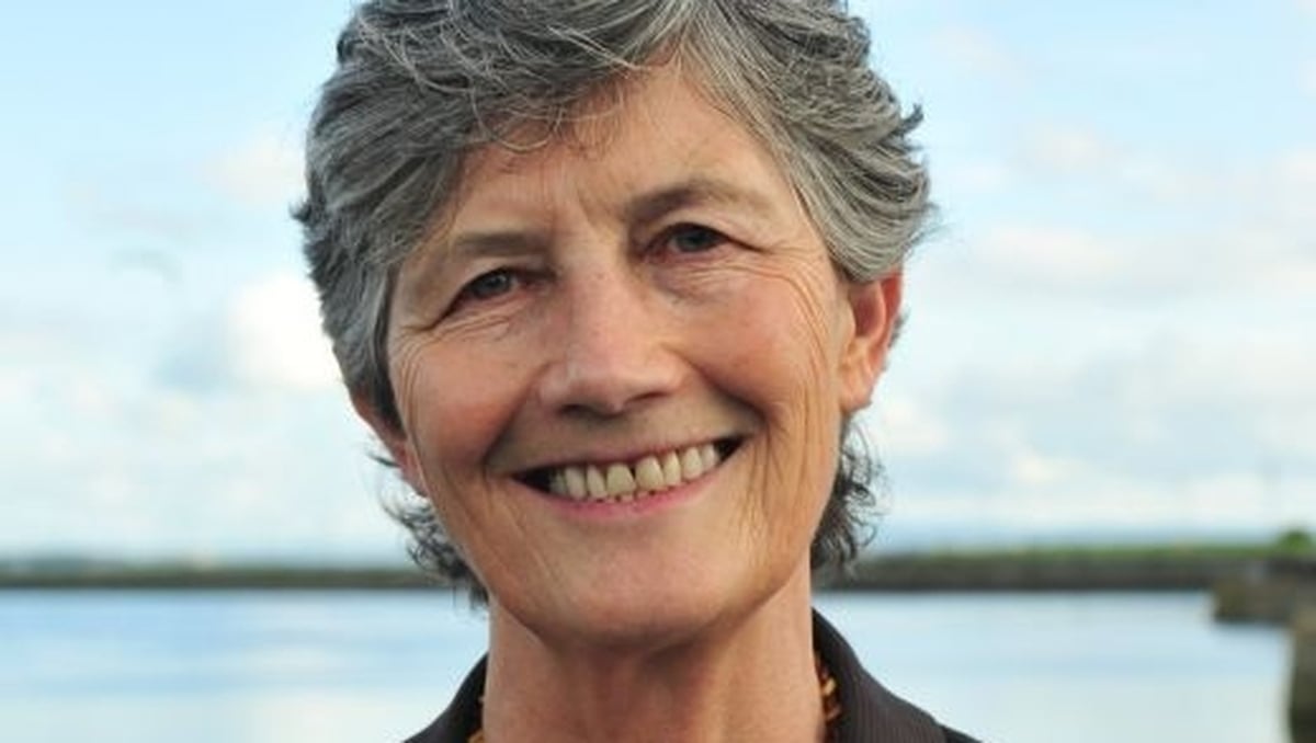 The presidential race: Sinn Féin backs Catherine Conolly