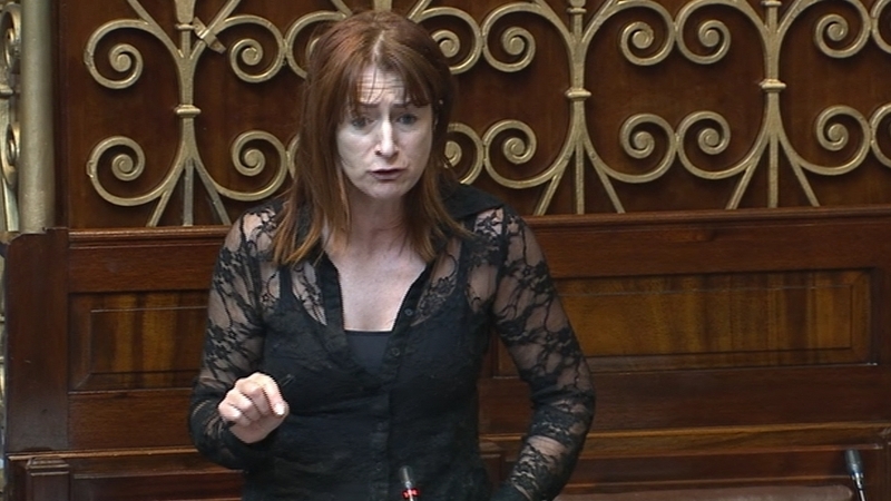 Clare Daly said the inquiry appeared to be a fig leaf for the Tánaiste