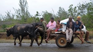 People who had to evacuate the area return to their homes in the Carbonera community of Guantanamo, Cuba following Hurricane Matthew