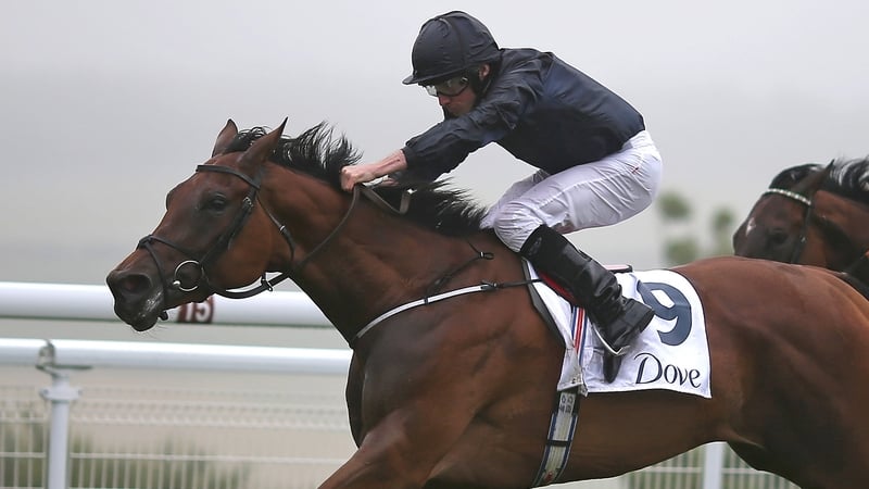 Rhododendron remains in the entrants for the Irish 1,000 Guineas for now