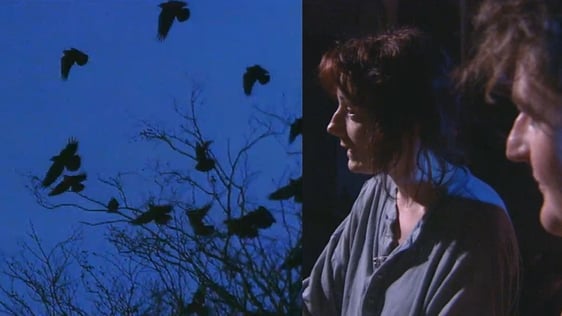 Into Paradise on Jo-Maxi (1991)