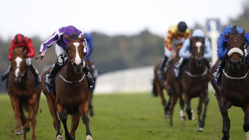 Another Group 1 for Minding (2L)