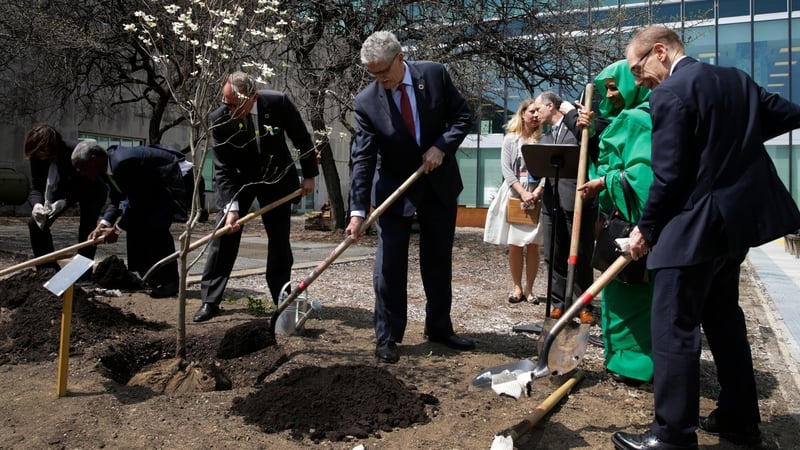 United Nations diplomats plant a Dogwood tree in the UN Food Garden to mark the Paris agreement