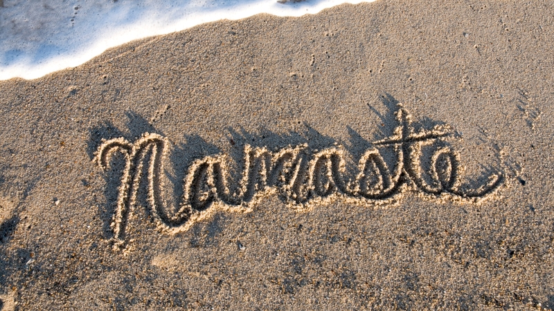 Our resident yoga bear has taken the time to break down 'yoga speak'. You may have heard your yogi friends dropping terms like Namaste and Asana like they're going out of style, but what do they mean? Find out below.