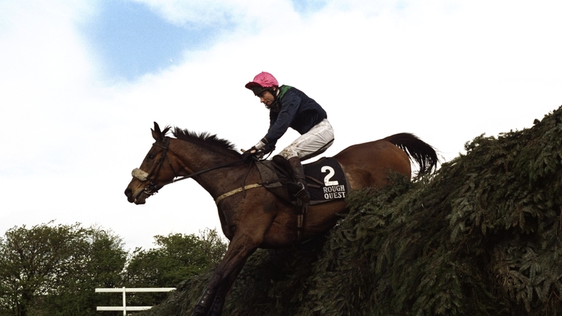 Rough Quest was favourite when winning the Aintree highlight