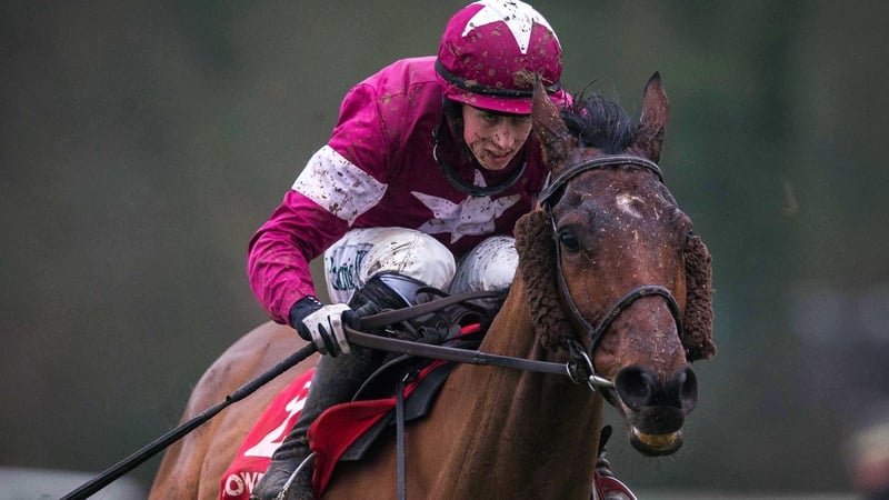 Alpha Des Obeaux scored on his second start over birch