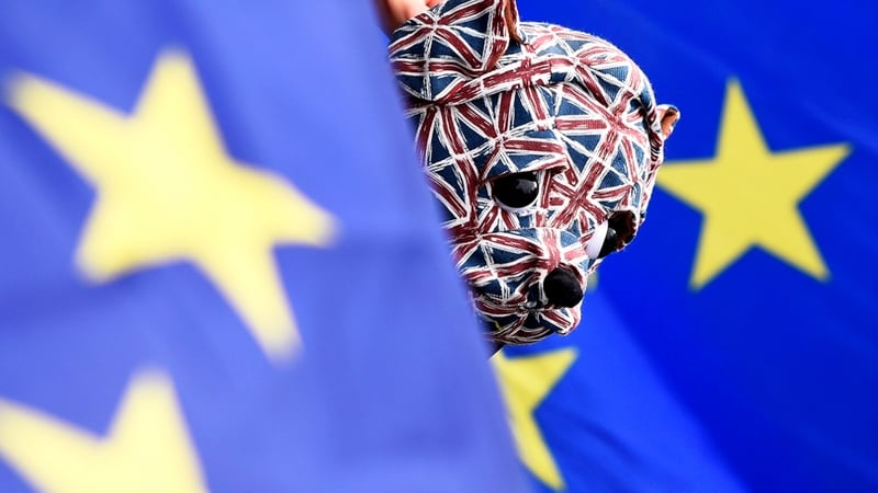 AIB Chairman Richard Pym said the Brexit campaign had been led by 'a group of chancers and opportunists'