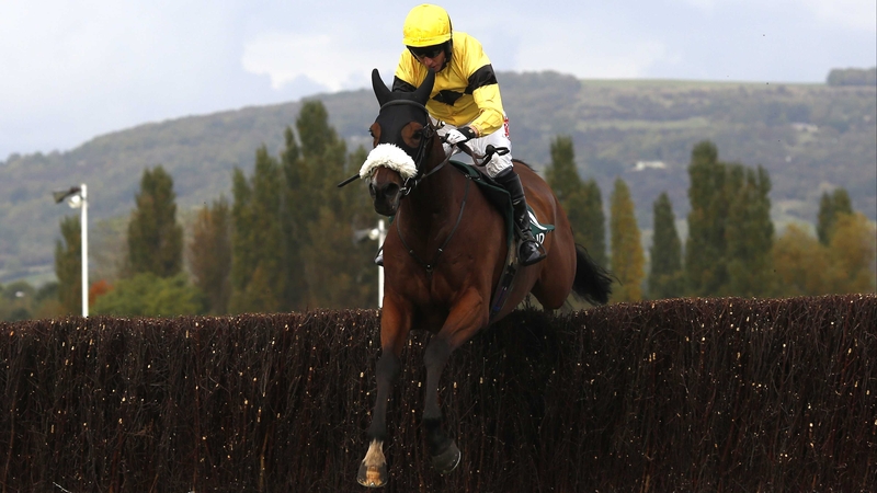 Fox Norton landed a gamble at Prestbury Park