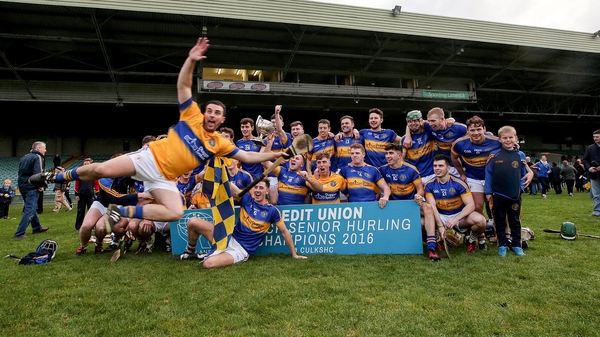 Patrickswell goalkeeper Brian Murray dives into his team's Limerick SHC title winning celebrations