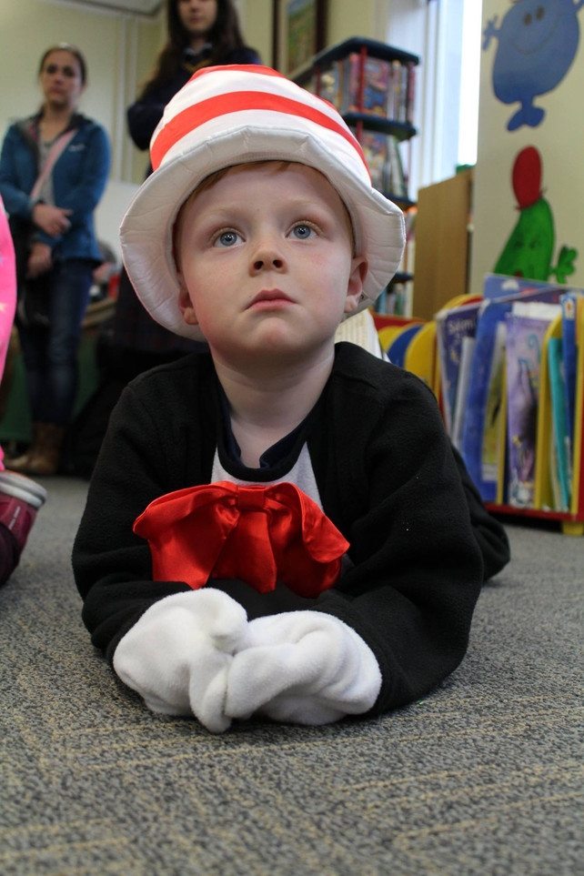 Cat in the hat strikes a pose (Pic: Karen O'Sullivan)