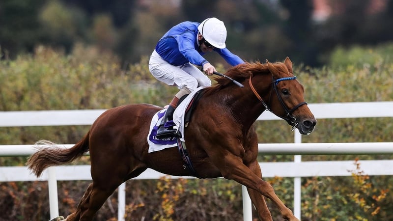 Kevin Manning on Dubai Sand