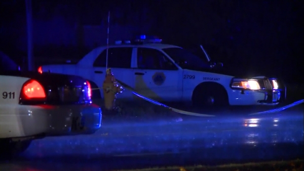 Media reports said the police officers died in 'ambush-style attacks'