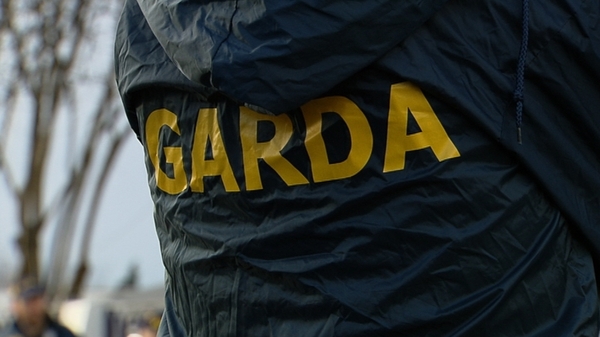 The State's corporate enforcement watchdog said it was "severely hampered" in carrying out white collar investigations as a result of having less than its required statutory complement of garda
