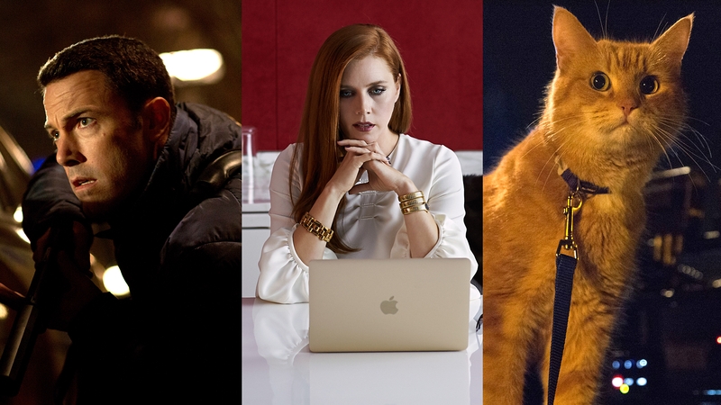 The Accountant, Nocturnal Animals and a Street Cat Named Bob.