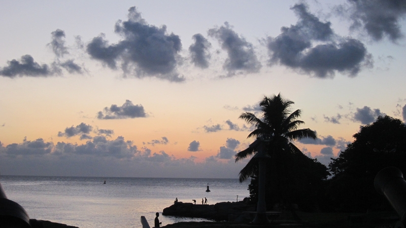 Heading to Cuba in the near future? Check out my foodie guide to Havana before you catch your flight. Whether you're looking for seafood, tacos, pizza or a Cuban sandwich, this is the guide for you.