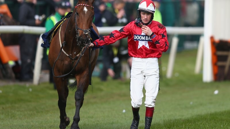 Another Haydock success for The New One