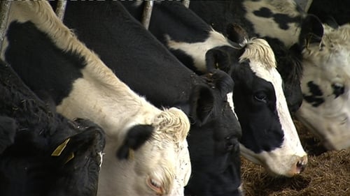 The IFA said it will be analysing the detail of the deal to evaluate the impact on Irish food exports.