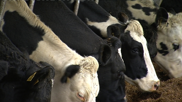 The IFA said it will be analysing the detail of the deal to evaluate the impact on Irish food exports.