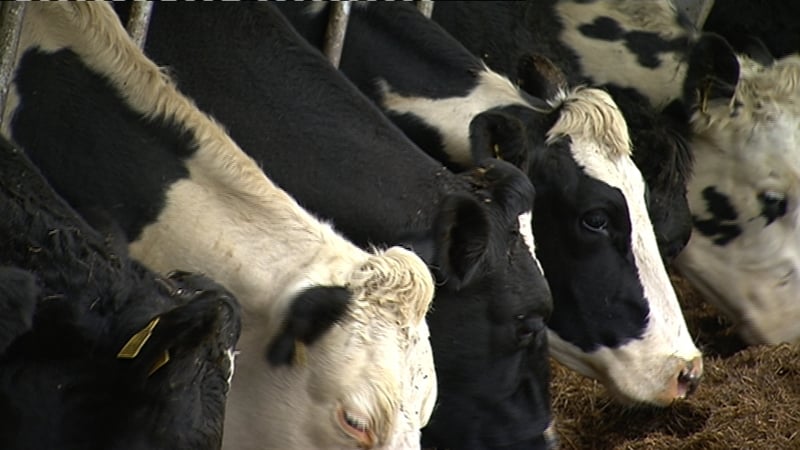 Farm organisations say the Government must fund any shortfall under the new deal