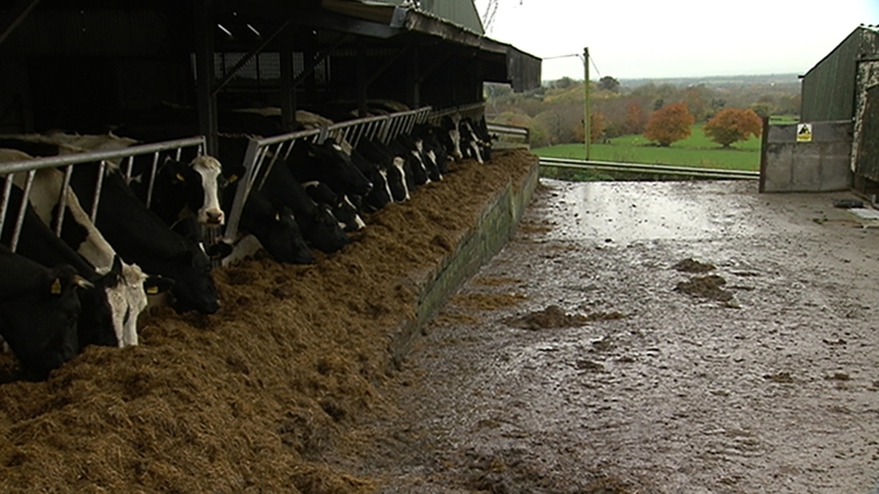 More than 50% of workplace accidents occurred in the farm sector last year