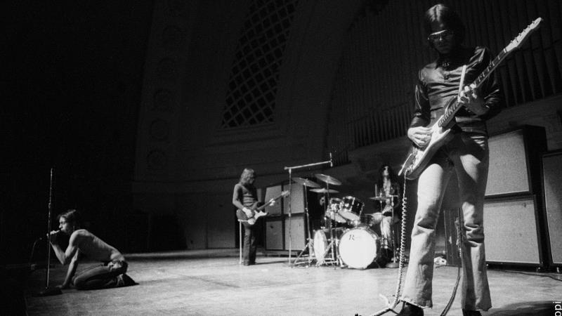 Iggy (out front and out there): he wants to be your dog