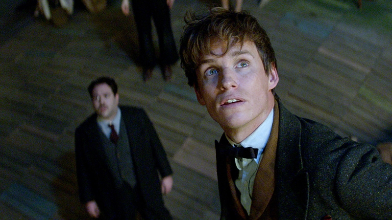 Eddie Redmayne stars as Newt Scamander, a shy and socially awkward wizard