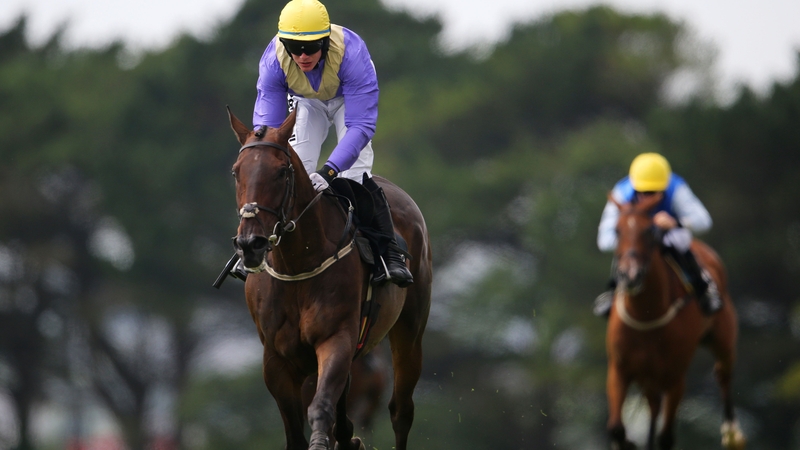 Alelchi Inois won the Clonmel Oil Chase