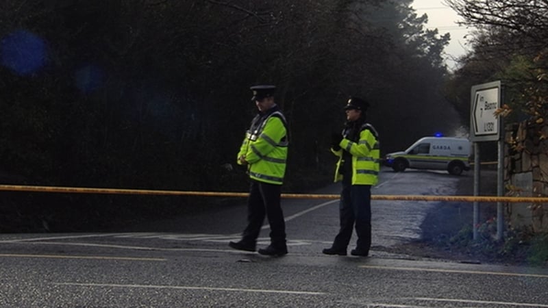 Gardaí believe that the two women fell against the rear doors of the van, which then opened
