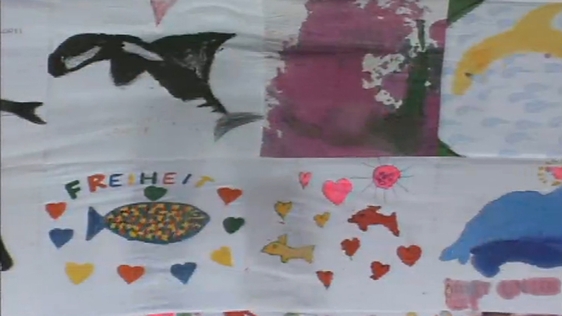 Moyle Park College Banner to Save Killer Whale (1996)