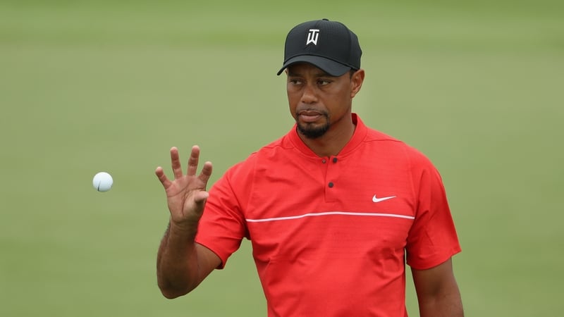 Sunday Tiger is back