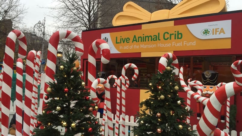 Dublin Lord Mayor Caroline Conroy proposed that the live crib be replaced (File image)