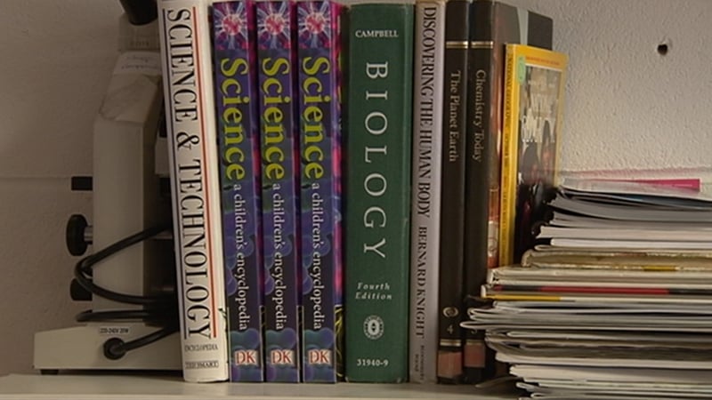 Irish 15-year-olds rank 13th out of 35 OECD countries in both science and maths