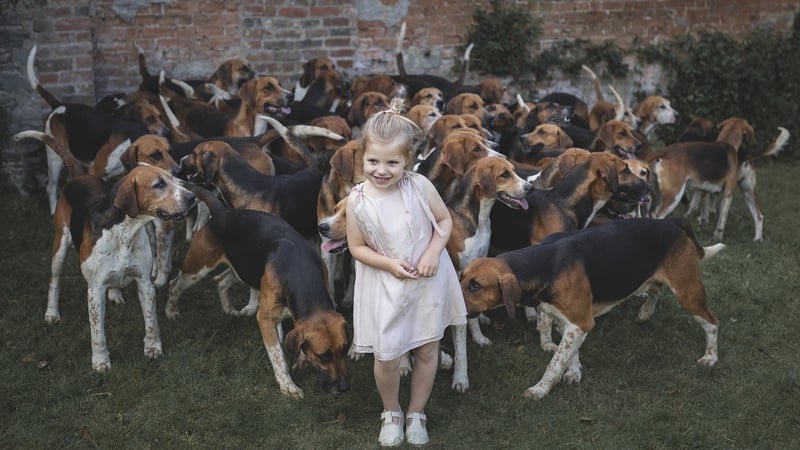 Textiles: Vaida Rascuite, UPA