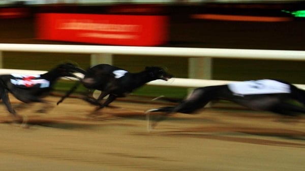 Funding stopped for four greyhound tracks after report
