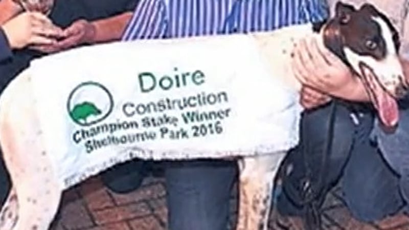 Clares Rocket is owned by a Limerick syndicate