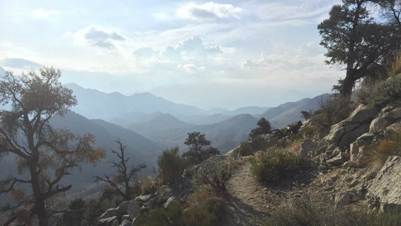 The Sierra Nevada Mountains in California, the inspiration for Rory Pierce's new album Fog Line Tree Line.