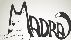 Saoirse Holic, Bainisteoir Bailiúchán Airgid & Imeachtaí MADRA. show image