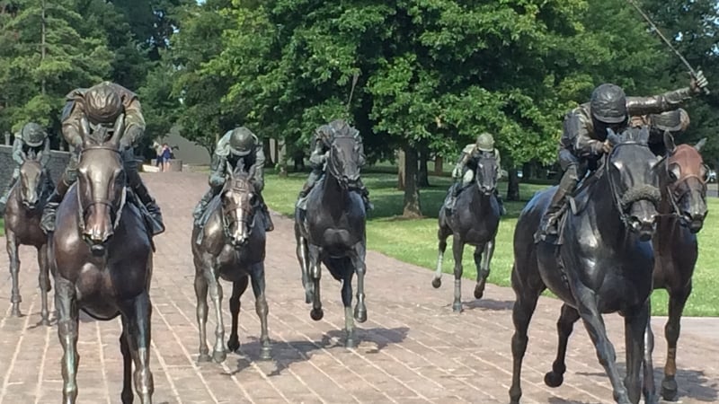 There are 450 horse farms in the Lexington area of Kentucky