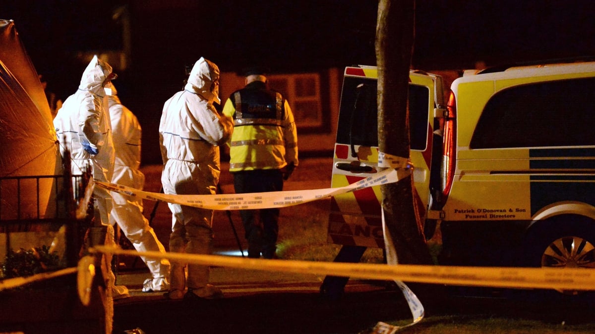 Man admits helping gang murder Noel Kirwan