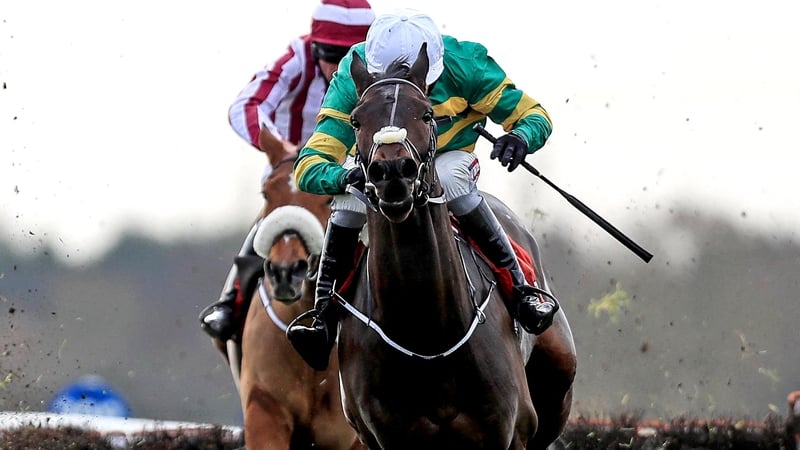 Landofhopeandglory looks set to impress at Leopardstown