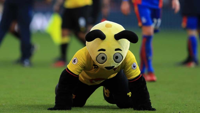Harry the Hornet dives on the ground mocking Wilfried Zaha at the final whistle