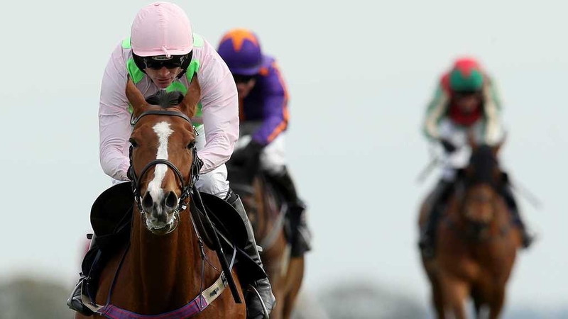 Faugheen may race in the Irish Champion Hurdle