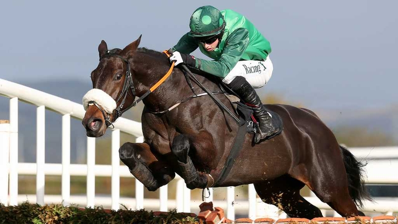 Missy Tata looks likely to go for the Mares' Hurdle at the Cheltenham Festival