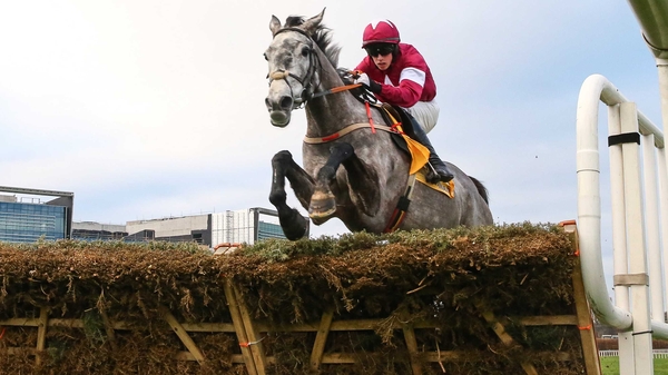 Bryan Cooper has cited Petit Mouchoir (pictured) and Death Duty as two of the horses he's most looking forward to riding at Cheltenham